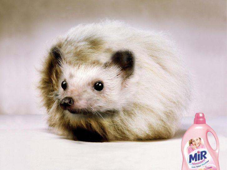 кондиционер Mir
