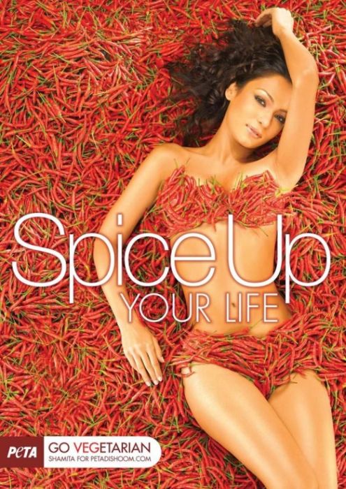 Добавь Добавь