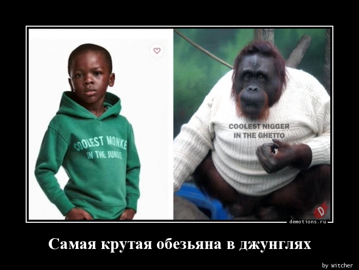 Самая крутая обезьяна в джунглях