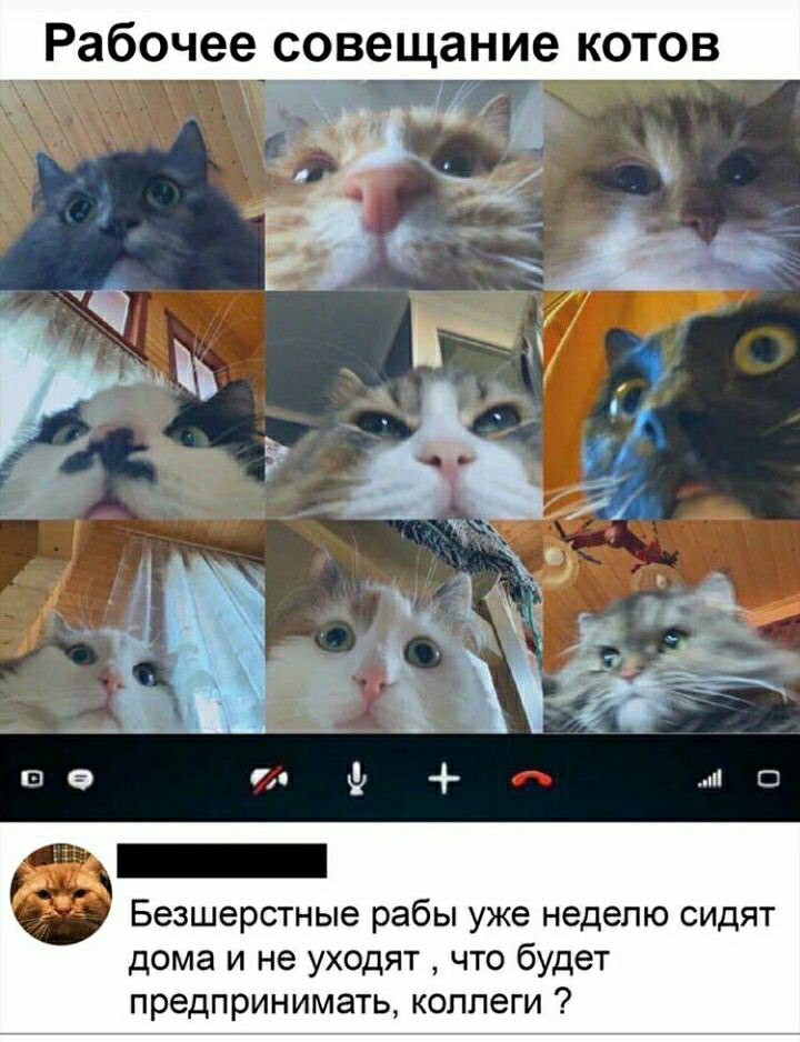 Программы для удаленной работы