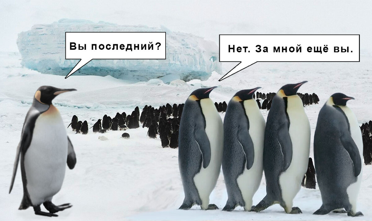 5 признаков, что ваш сайт забанен поисковыми системами: узнайте причину и что делать