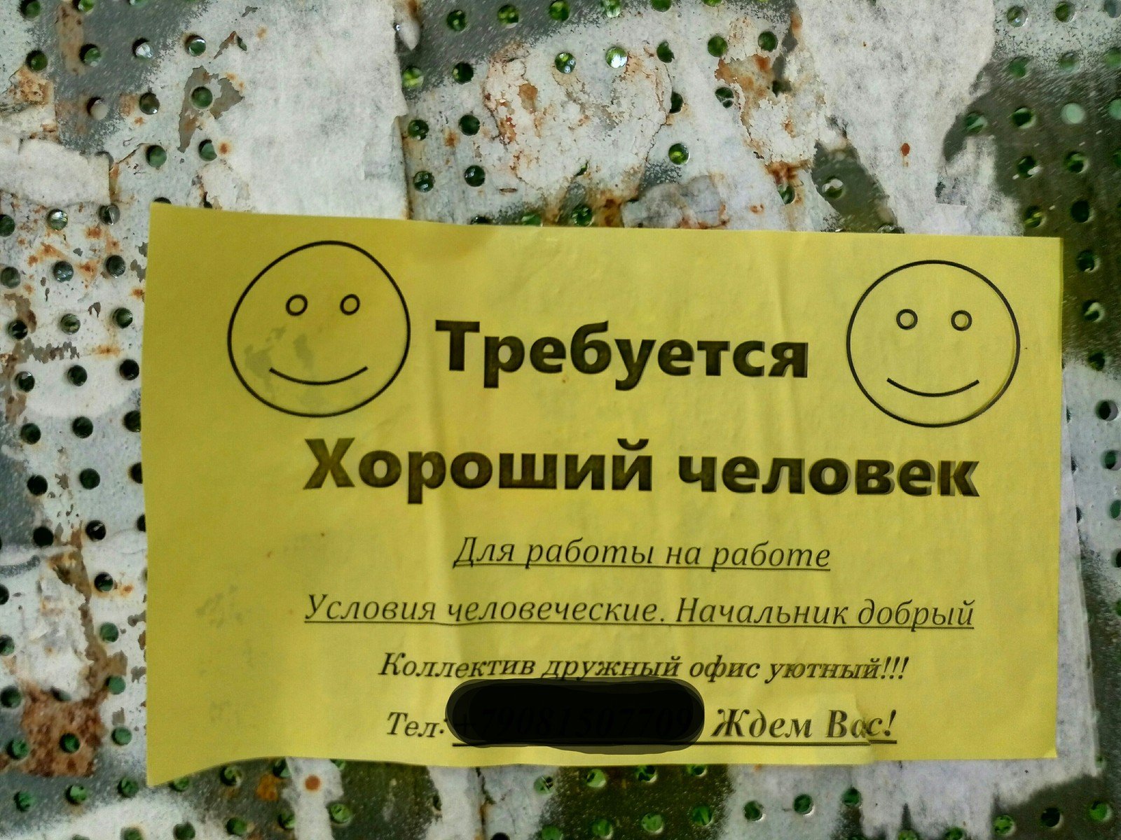HR-бренд компании: развитие бренда работодателя, как фактор роста бизнеса