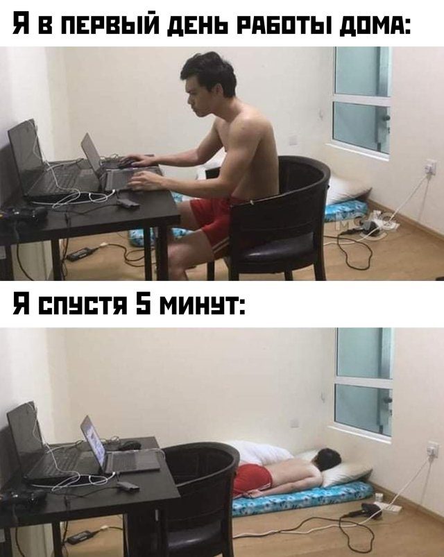 Удаленная работа: плюсы есть
