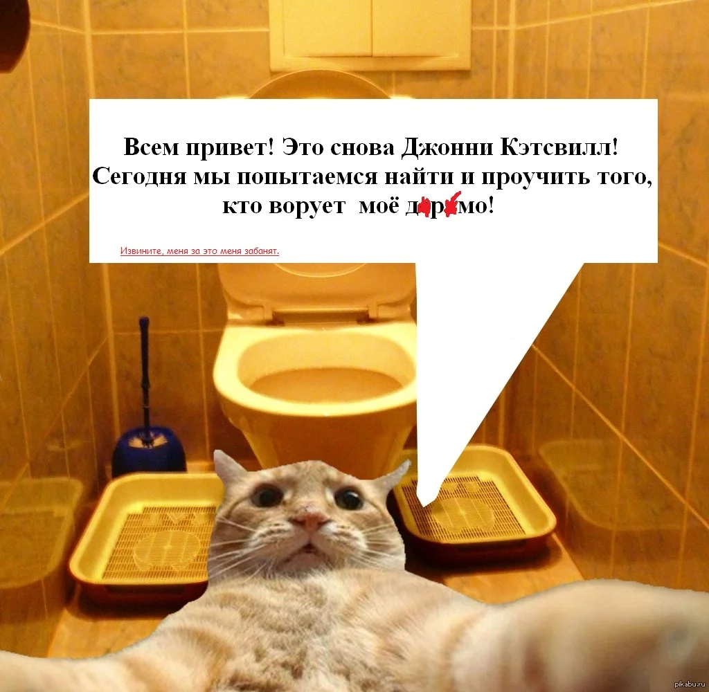 21 идея для блога: как создать, выбрать тему и вести блог, чтобы он стал популярным