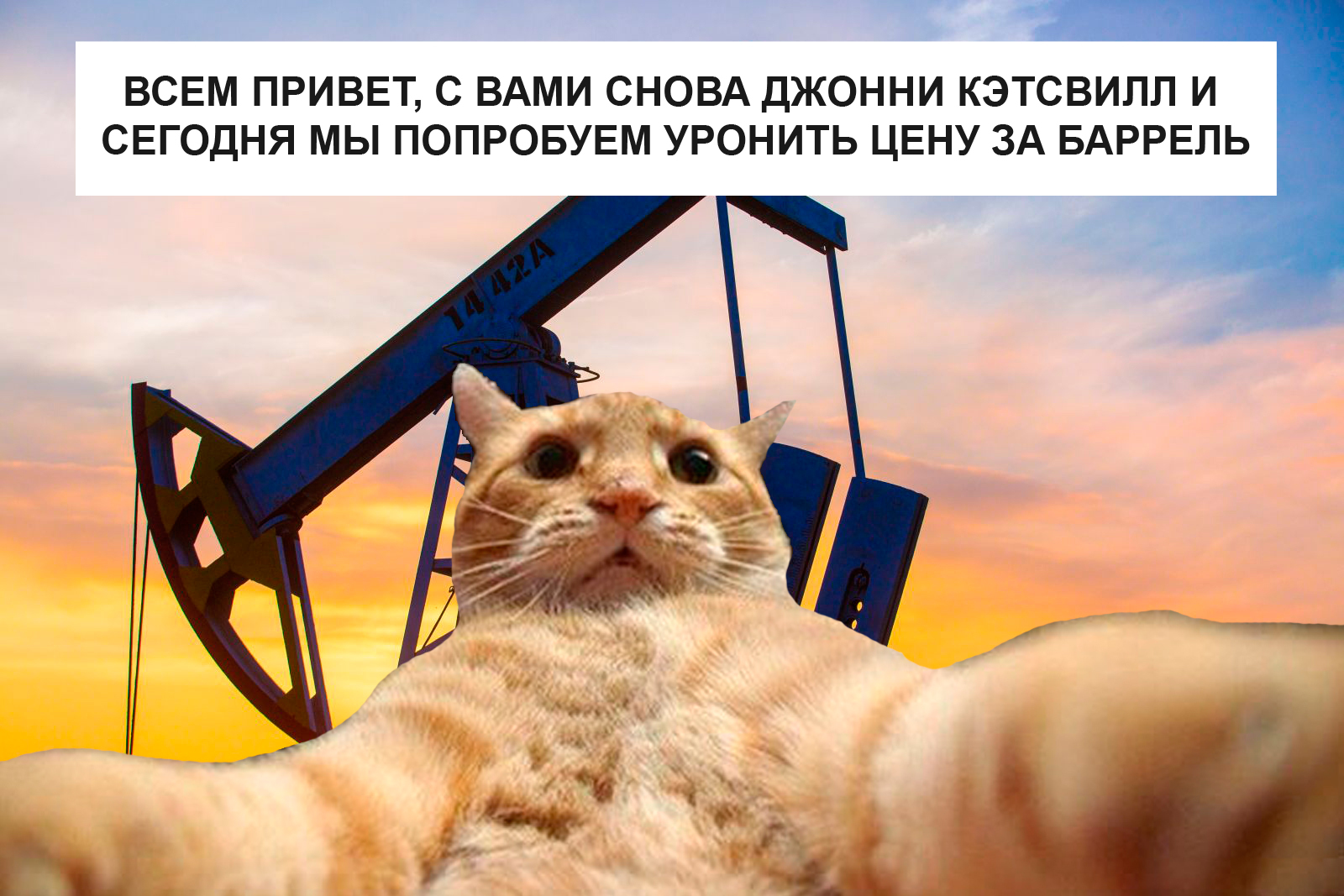 21 идея для блога: как создать, выбрать тему и вести блог, чтобы он стал популярным