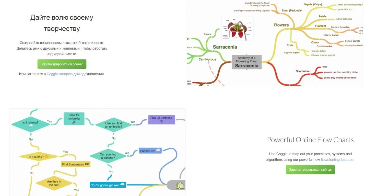 Mindmap: как самому создать интеллект-карту