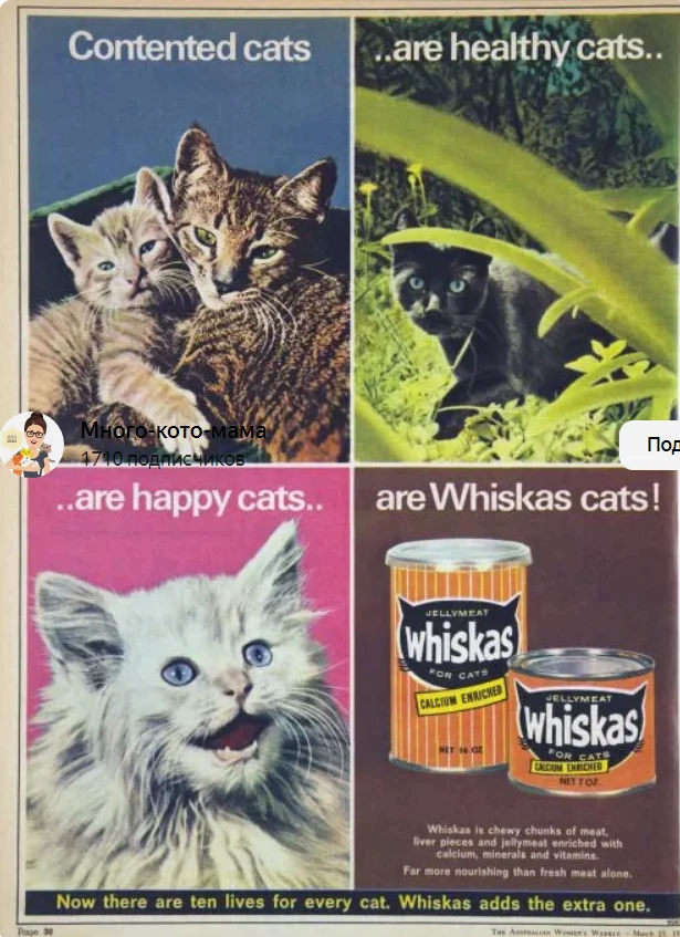 Смешная реклама: как использовать юмор, мемы в рекламе. 40+ смешных примеров «Тинькофф», YOTA, IKEA и других