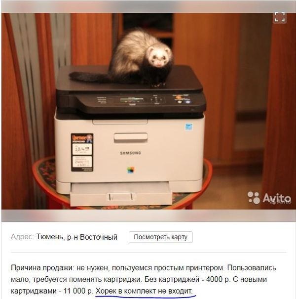 Продвижение на Авито: как написать продающее объявление и поднять рейтинг