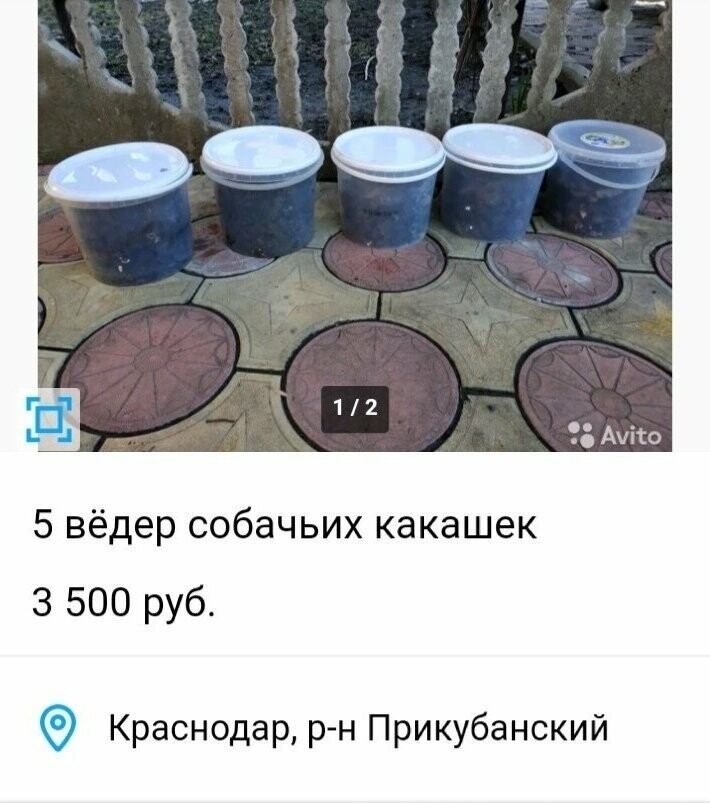 Продвижение на Авито: как написать продающее объявление и поднять рейтинг