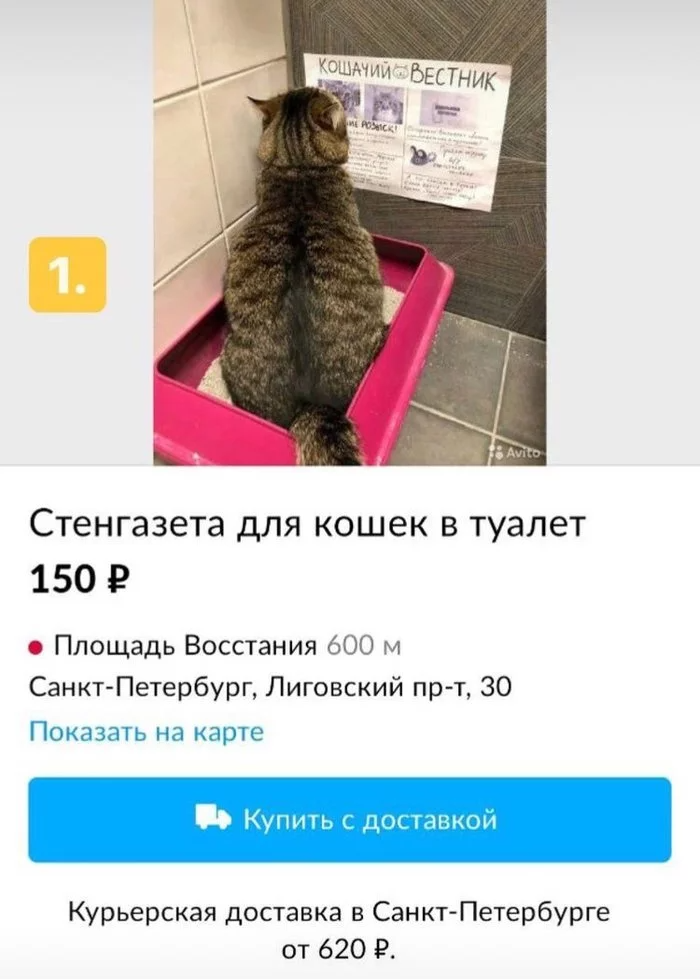 Продвижение на Авито: как написать продающее объявление и поднять рейтинг