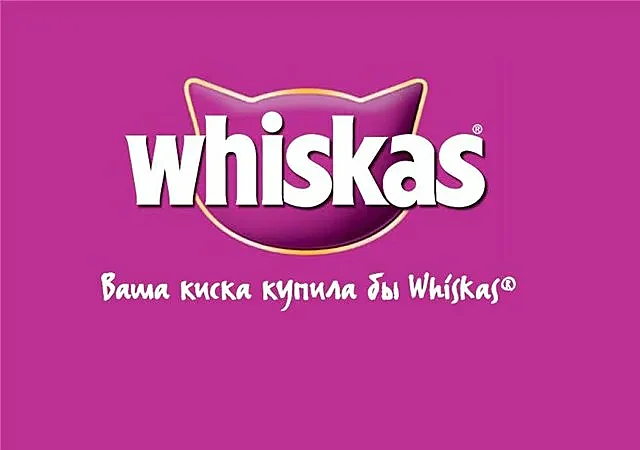 15 лучших рекламных слоганов России