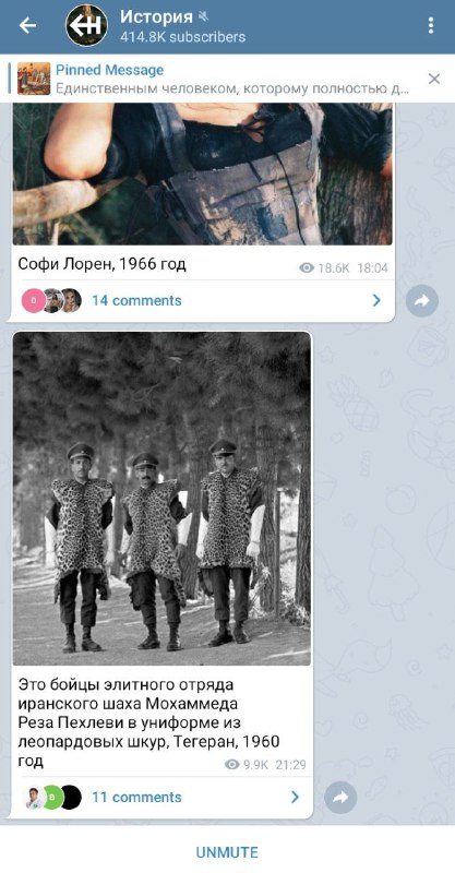 Как использовать телеграм для бизнеса в 2021 году. Продвижение в Telegram