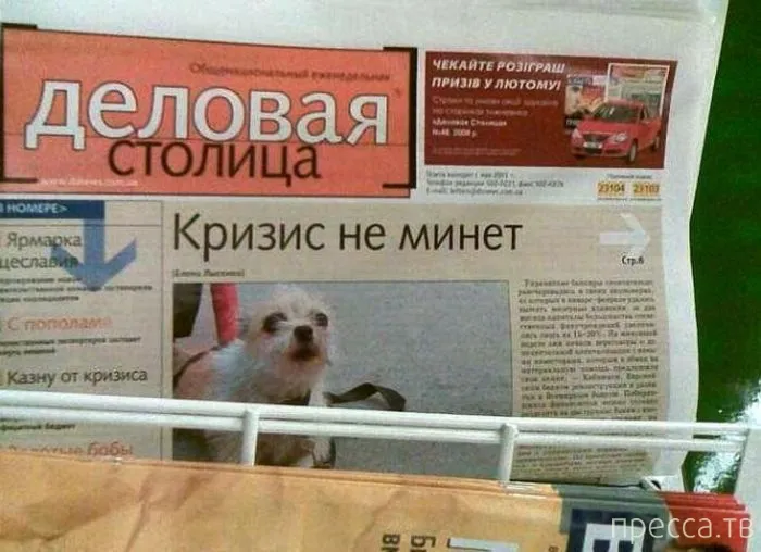 Примеры заголовков: 24 эффективных правила и 78 примеров составления лучшего заголовка