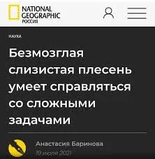 Примеры заголовков: 24 эффективных правила и 78 примеров составления лучшего заголовка