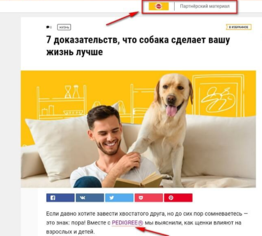 7 инструментов интернет-рекламы: подробный гайд