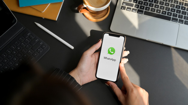 Бизнес в WhatsApp: подключение, рассылки, общение