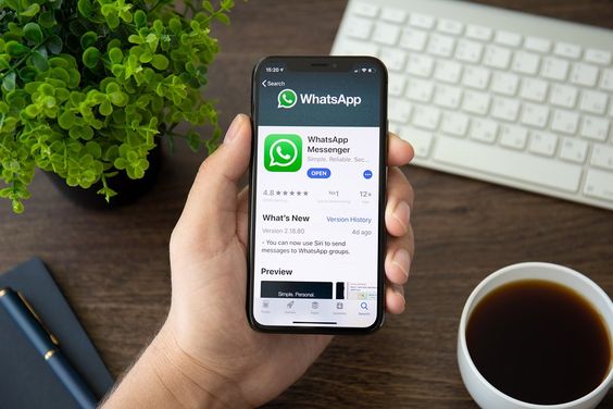 Бизнес в WhatsApp: подключение, рассылки, общение