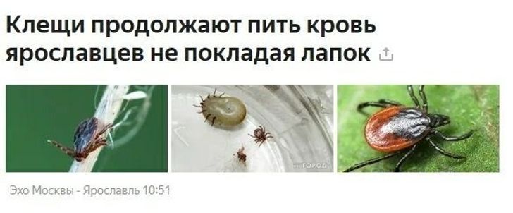Как написать пресс-релиз правильно: полный гайд и цепляющие примеры успешных пресс-релизов