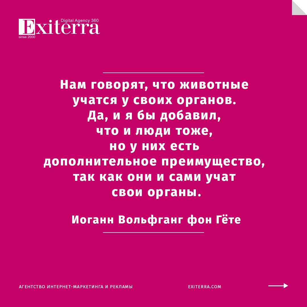 цитаты о теле