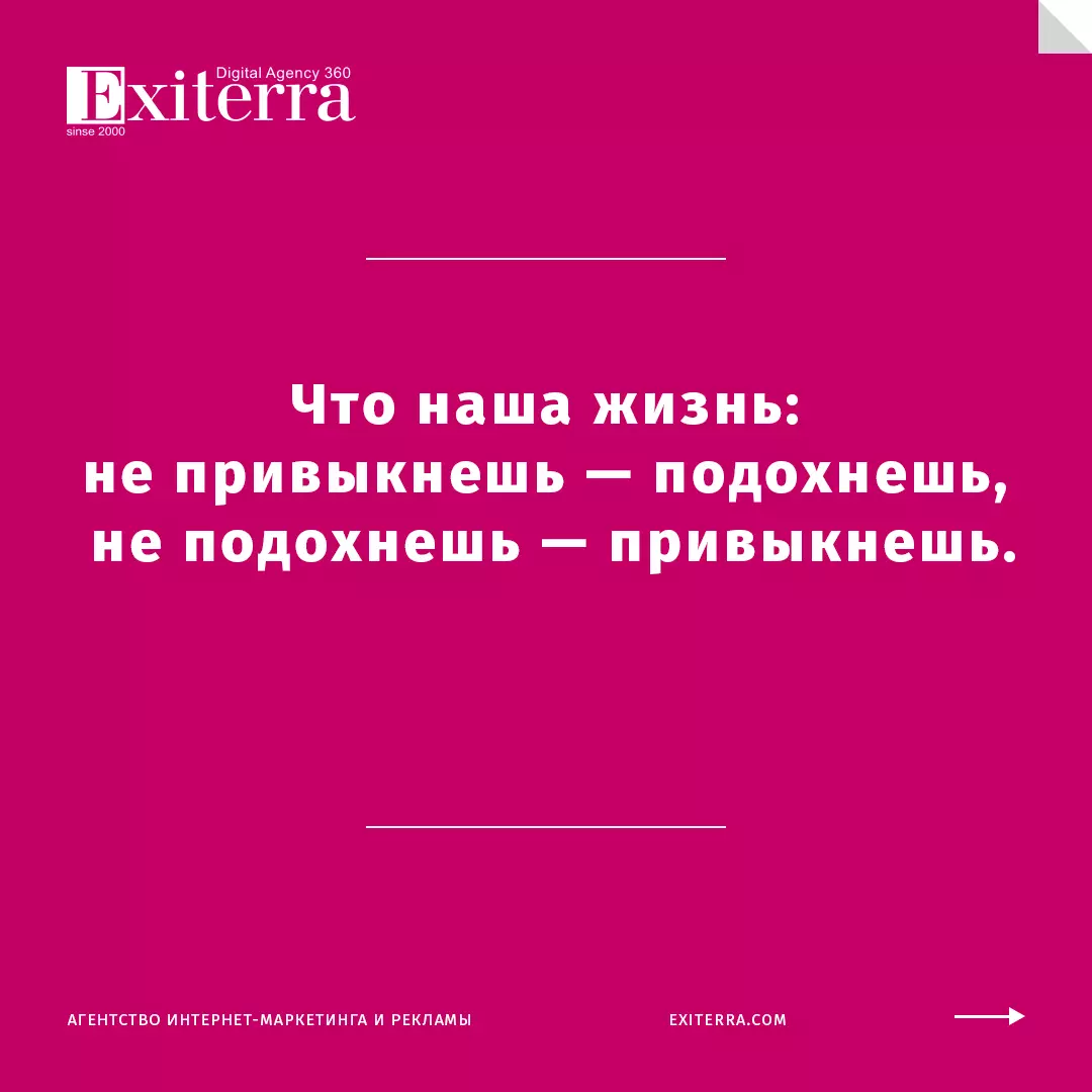 жванецкий цитаты